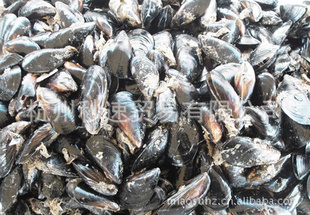 秒速贸易厂家批发海鲜家在海边海虹