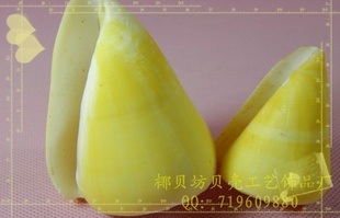 Ҭֱݱˮ쾰ݰڼ