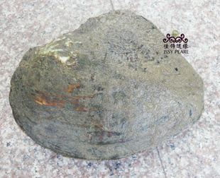 ӰСӰشӰӰHB-001