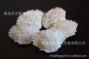 зBlackcrabshell
