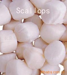 ȱ屴scallop