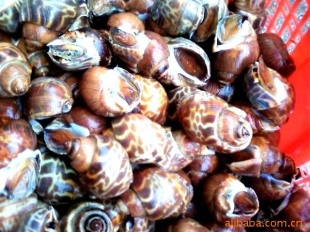 ںƷ