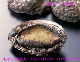 Ǻʻຣʱ㱫12ͷһģ