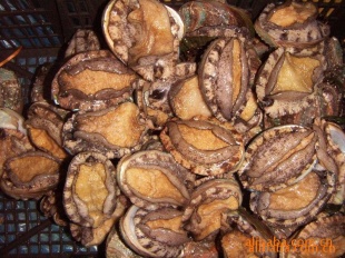 ıʻϵȱ