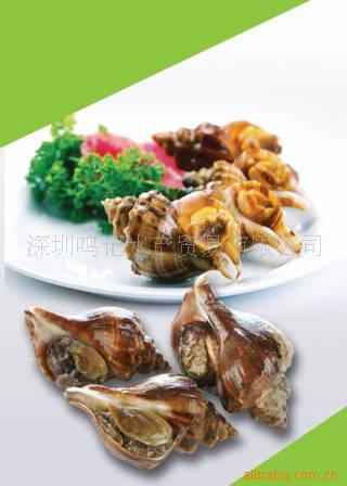 ӵݣݣ