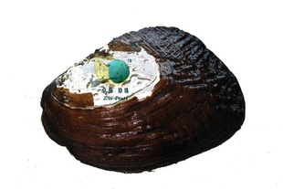 ˮӰ羰ּӹӰߺӰ131236