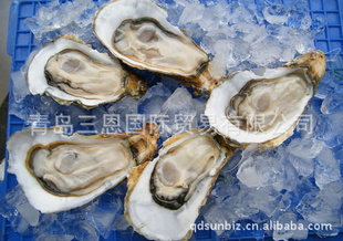 ţ0532-80996586-Ұ