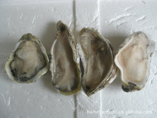 ֱĵ7cm-9cm