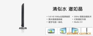 LCD/LED/3DҺӡʾ