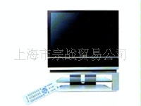 DLP5131W