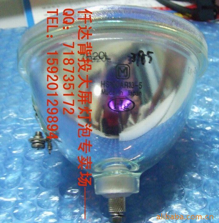 ֻLM1ͶӰ/LM2ͶӰ