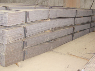 п25-100