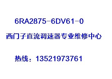 6RA28756DV61013521973761