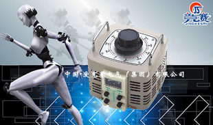 TDGC2-500VAѹӴʽѹ0.5KVA0-250V