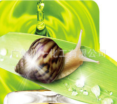 ޸ʪţȡҺ()Snailextract