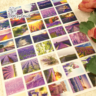 DaisylandһĨϡ˹޹²ֽ40ö