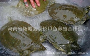 磨0.2-0.5-л