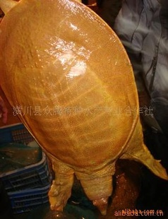 ϼ?괨ڼ.³˳13507616516