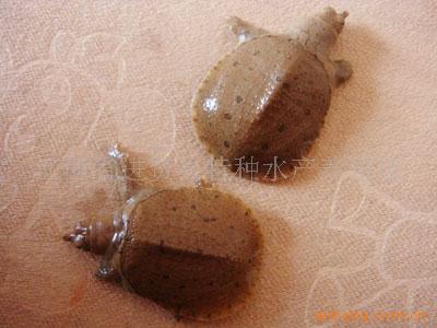 ͷл缰̨磩