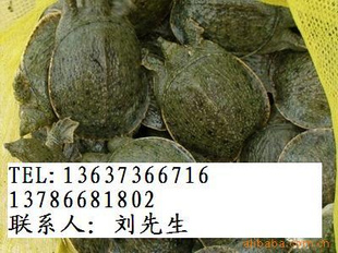 磨3