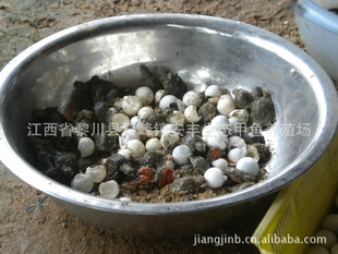 1.5Ԫ|л磨3/ֻ