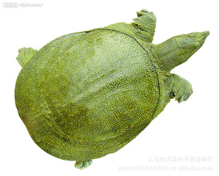 500g1000g2000g2500g+质