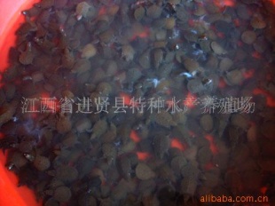 С磨ֱ