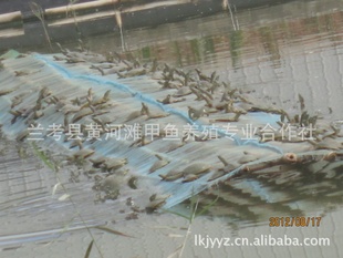 ƺֳ̲YUIOPLKH·Ʒֱ