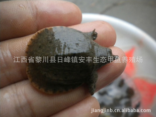 лҰ糧ֱɶ۸