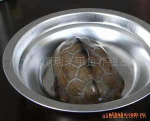 Ȼڹ꣬ӱɽг۾