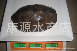 ĸݹ޹ڹڹֳڹ걳׳Լ20.5cm