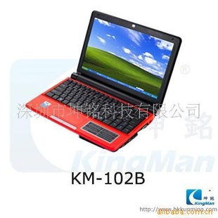 10.2(ͼ)