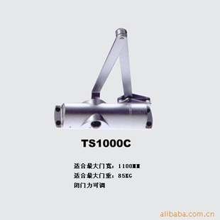 TS1000C