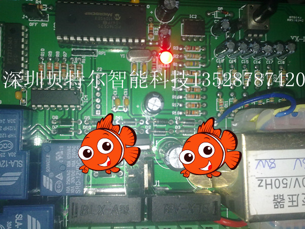 ݸװŻư壬ƽſƽſư