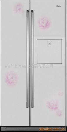 BCD-551WYJF