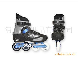 2010¿C4/C4/salomonC4/fskƽЬ