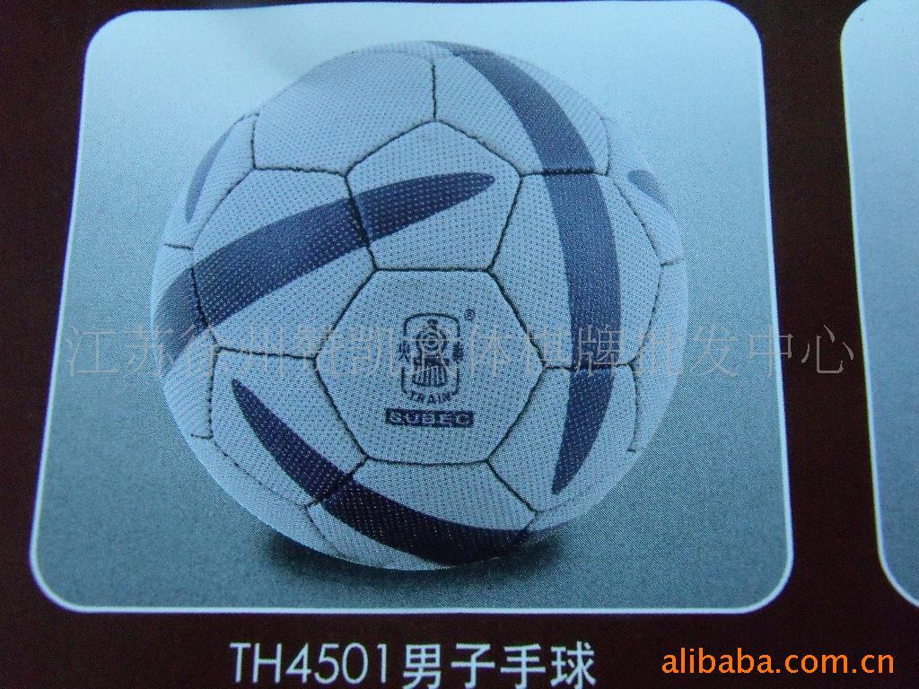 Ϻͷ¿TH4501PU