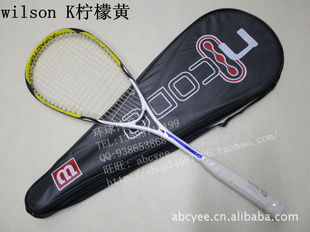 wilsonάʤѧż̼һʻ