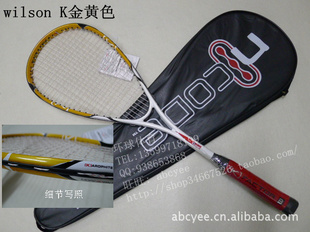 wilsonάʤѧż̼һĽ