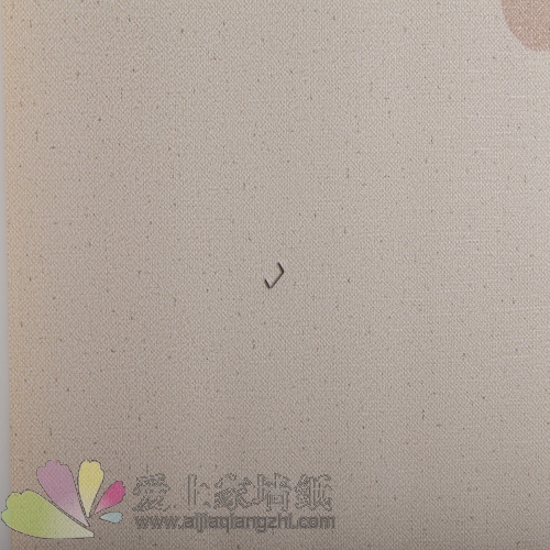 Ƶֽ/Ƶֽ۸/ֽ̱