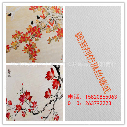 ڻֱ˿ǽ