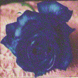 B1ĥɰܼдǽֽ,pvcǽֽ,ǽ,Ƶǽֽ,ǽֽ