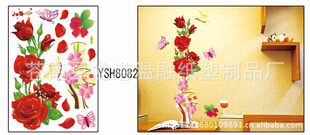 ںװ60*90cmʢǽ