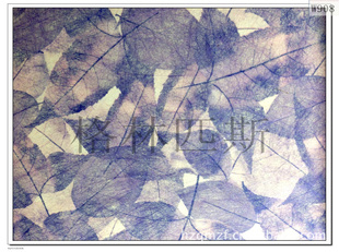޷ǽֽYEW-908192Ԫ/5ƽ