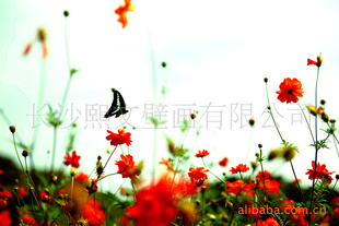 ǽֽڻá۸ǼҾװ