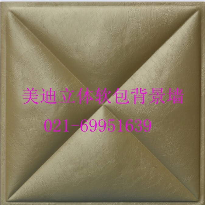 ǽ13