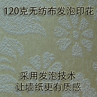 ˹ϵ޷ĲǽֽSG45~50ǽ԰