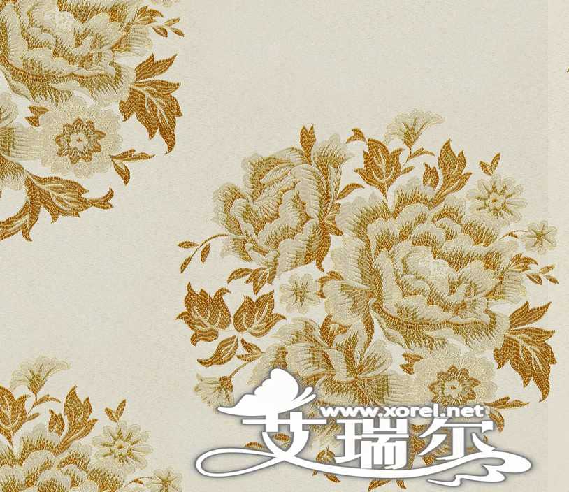 Ӧǽֽ-ǽֽ---人-