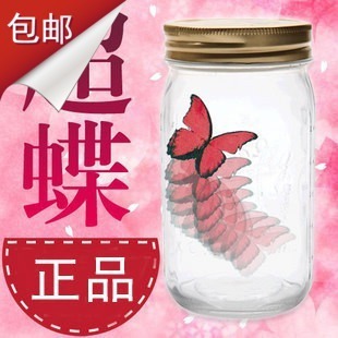 ⹤˽ﳬ˺޳
