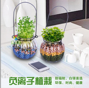 DIY辰ֲˮϹϵƿֲzakka¿մɰڼ
